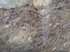 Crema Bordeaux Closeup