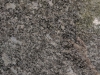 Steel Grey Closeup