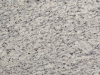 White Dallas Closeup