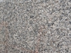 New Caledonia Closeup