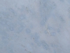 Blue Lumen Closeup