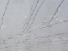 Calcatta Closeup