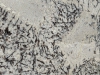 Ice Cream Closeup