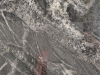 Oscuro Mist Closeup