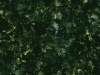 Ubatuba
