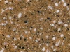 Sienna Quartz