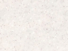 Tapioca Pearl