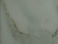 Calacatta Gold/Dori