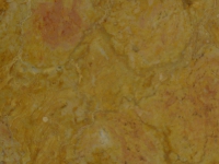 Giallo Reale