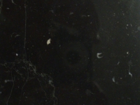 Megro Marquina
