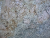 Shalimar Gold Closeup