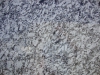 Gran Perla Closeup