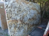 Mascarello