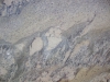 Neptune Bordeaux Closeup