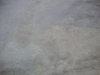 Sea Pearl Closeup