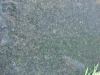 Ubatuba Closeup