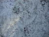 Colonial White Closeup