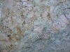 DSC02217