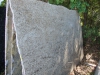 Giallo Ornamental