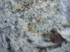 Bordeaux River Closeup