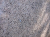 Labrador Antique Closeup