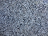 New Caldonia Closeup