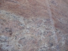 Antique Rivera Closeup