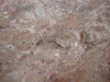 Cappuchino Closeup