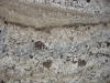 Sucuri Brown Closeup