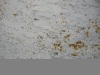 DSC02311