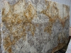 Delicatus Gold