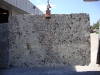 Delicatus White