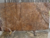 Rain Forest Brown