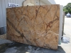 Rainforest Brown